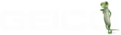 GEICO